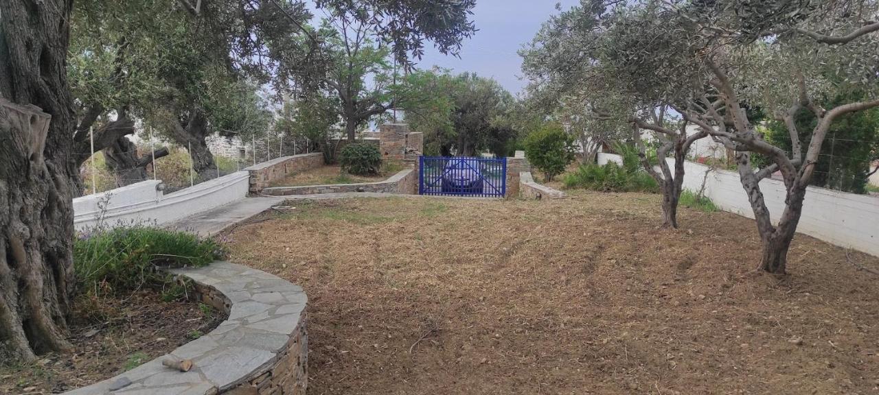 קריסטוס Chrysa'S Cottage House מראה חיצוני תמונה