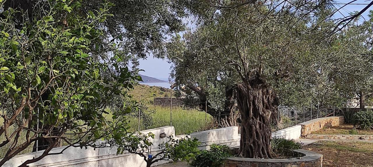 קריסטוס Chrysa'S Cottage House מראה חיצוני תמונה