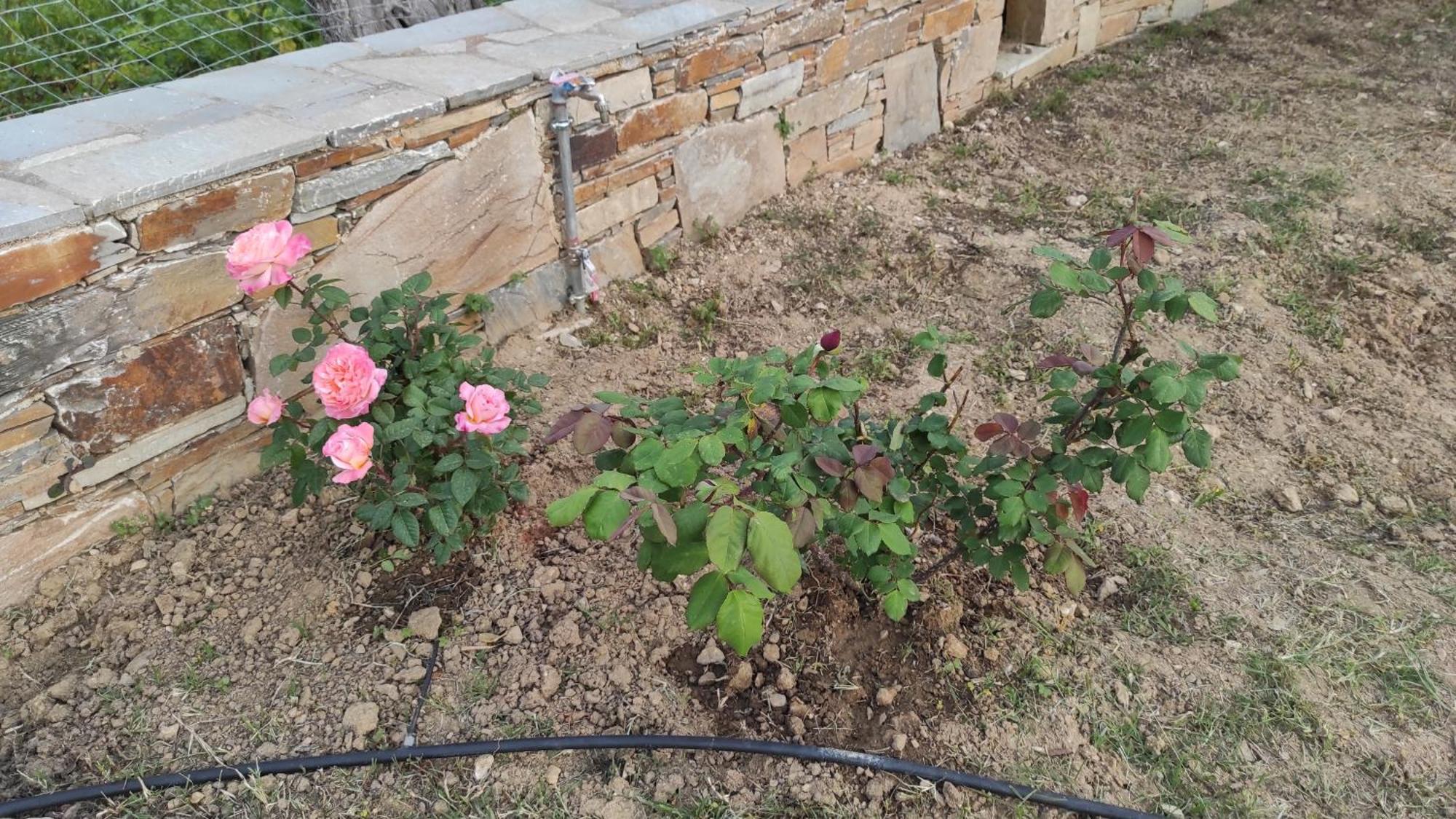 קריסטוס Chrysa'S Cottage House מראה חיצוני תמונה